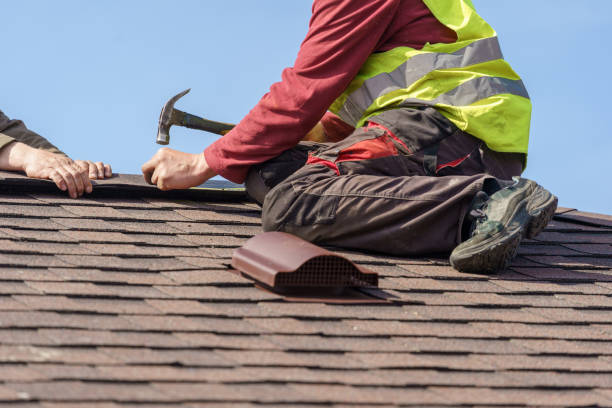 Best Shingle Roofing Installation  in Derma, MS