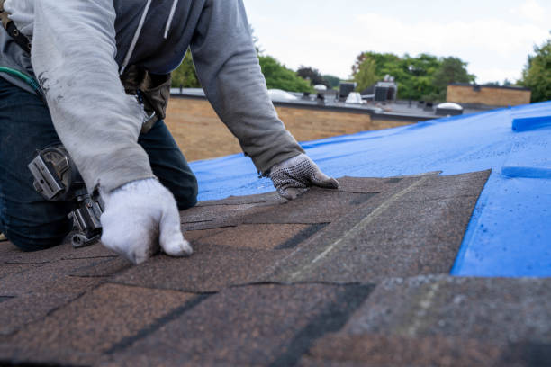Best Gutter Installation and Roofing  in Derma, MS