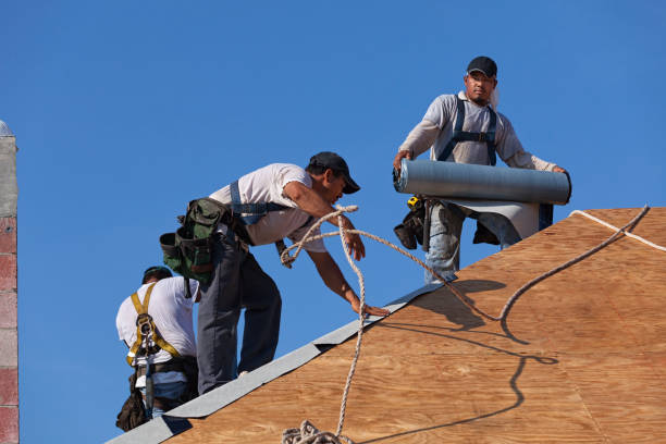 Best Roof Leak Repair  in Derma, MS