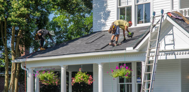Best Shingle Roofing Installation  in Derma, MS
