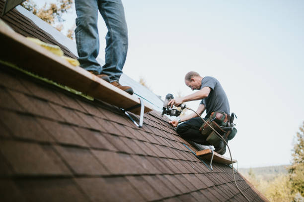 Best Roof Installation Near Me  in Derma, MS