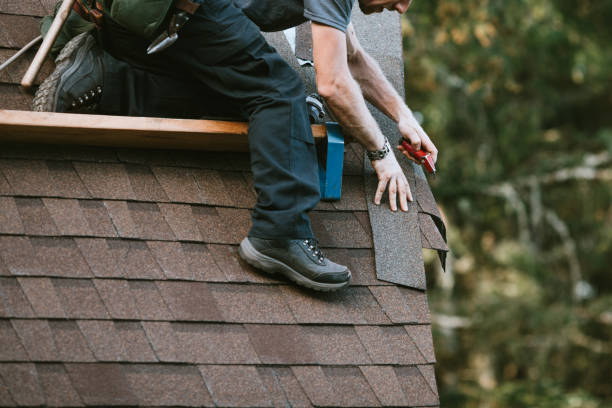 Best Roof Restoration Services  in Derma, MS